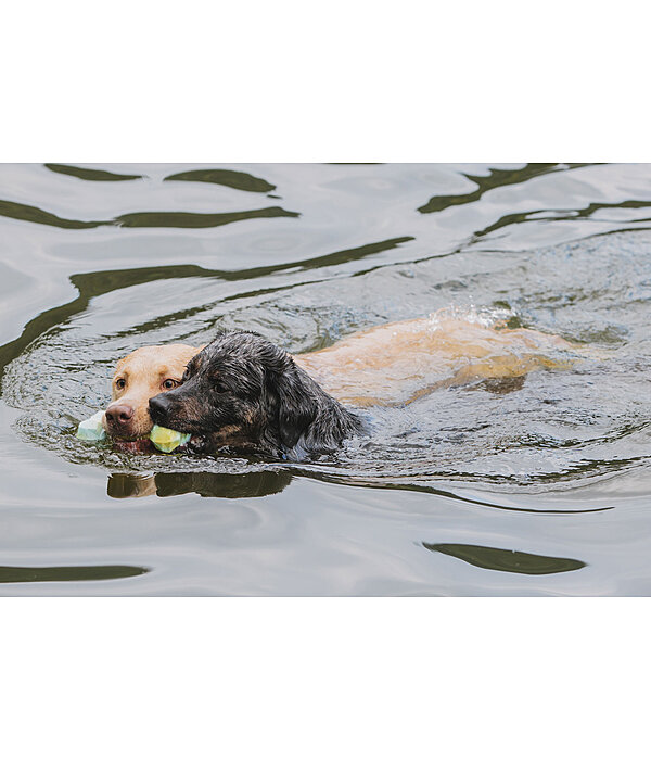honden waterspeelgoed Marble Bone