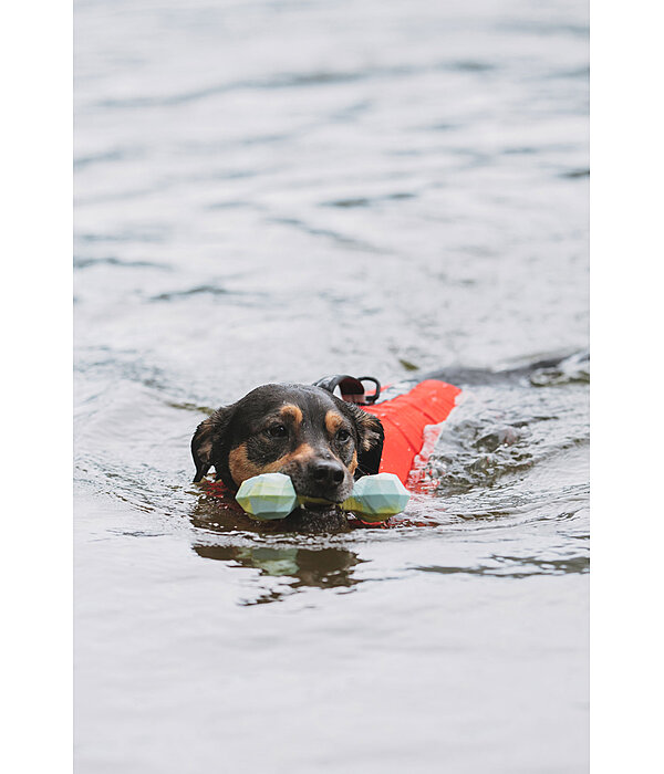 honden waterspeelgoed Marble Bone