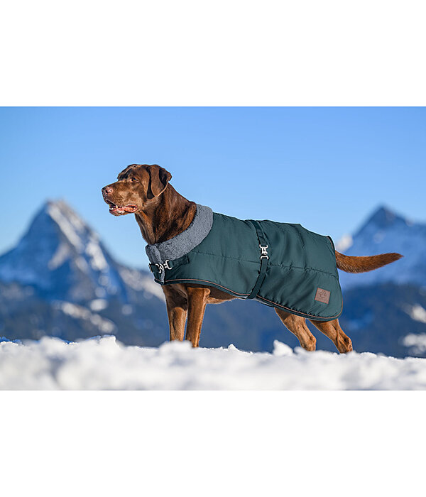 Winter-hondenmantel Gizmo met teddy binnenvoering, 200 g