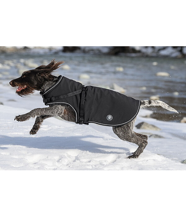 softshell hondenjas Cruz met ge�ntegreerd tuigje, 160 g