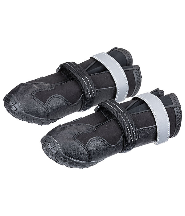 pootbescherming schoenen Antarctica voor honden
