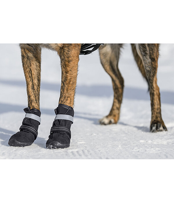 pootbescherming schoenen Antarctica voor honden