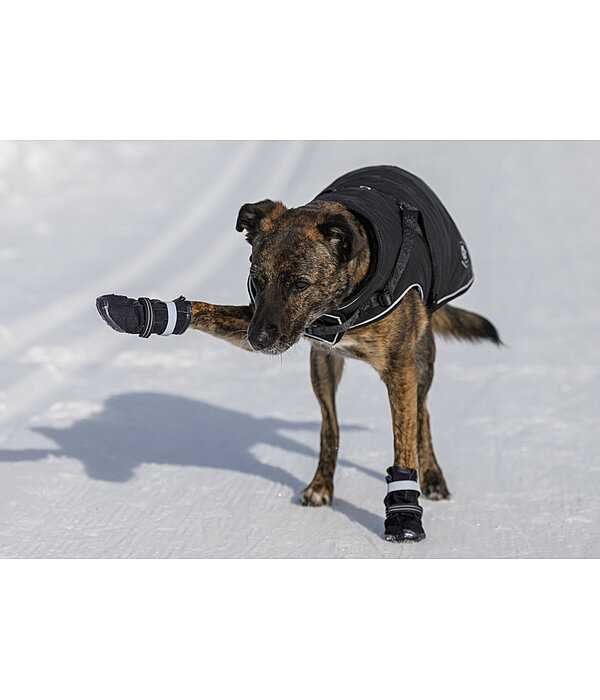 pootbescherming schoenen Antarctica voor honden