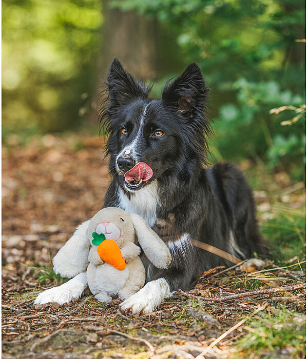 pluche speelgoed Bunny voor honden