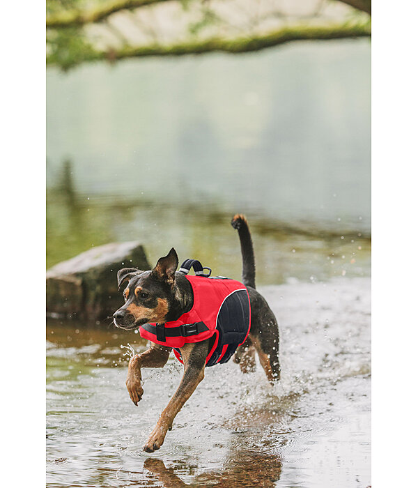 hondenzwemvest Life Guard