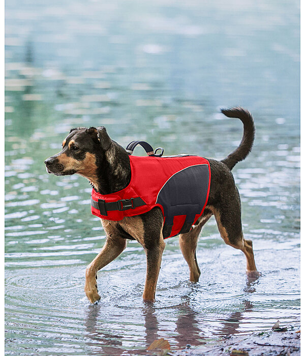 hondenzwemvest Life Guard