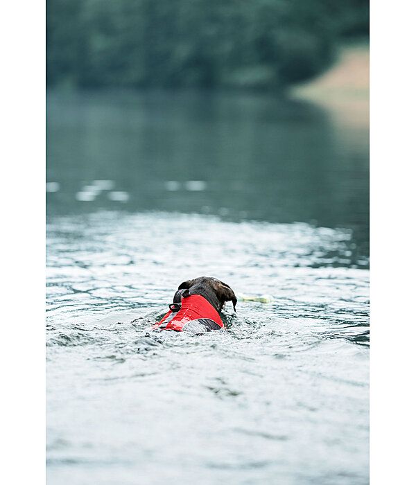 hondenzwemvest Life Guard