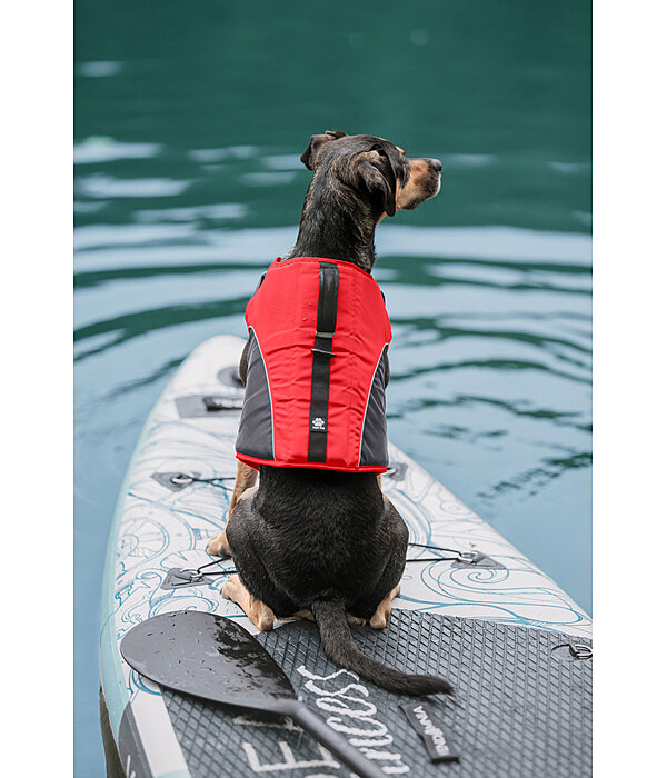 hondenzwemvest Life Guard