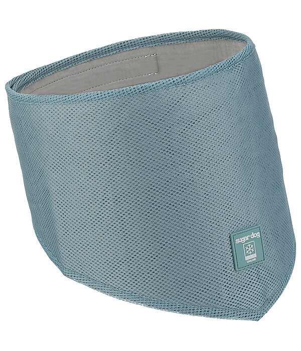 hondenhalsdoek Cooling