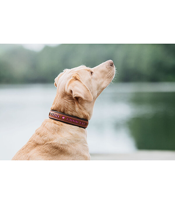 lederen hondenhalsband Good Dog