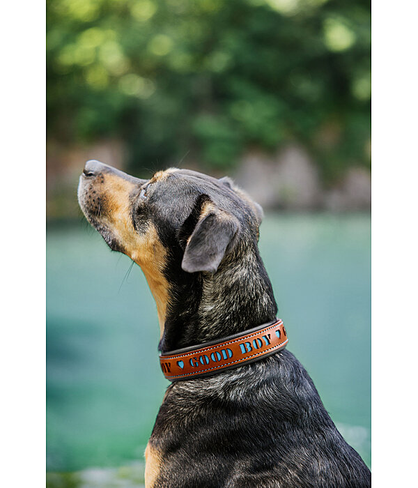 lederen hondenhalsband Good Dog