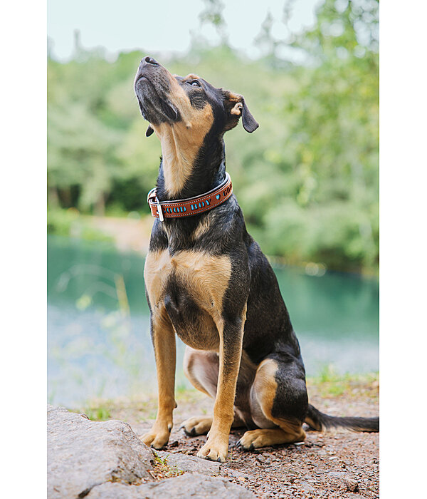 lederen hondenhalsband Good Dog