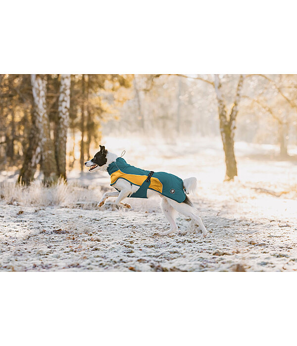 Lightweight honden regenmantel Alma, 0 g