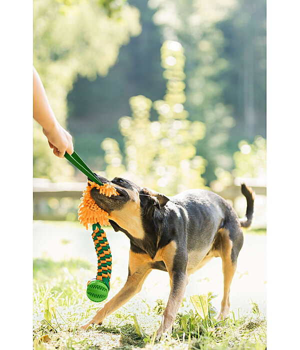 honden touwtrekspeeltje Agi
