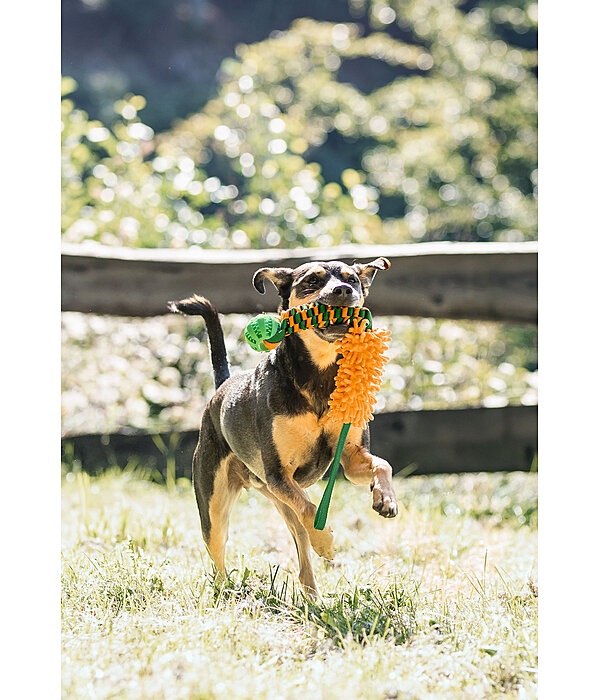 honden touwtrekspeeltje Agi