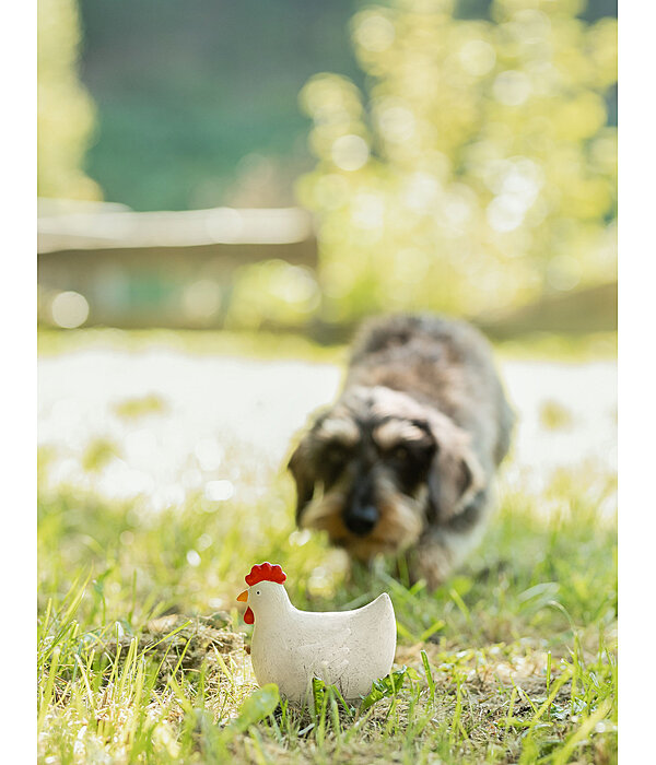 piepspeeltje Chicken voor honden