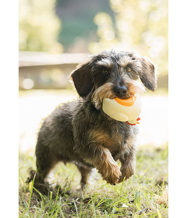 piepspeeltje Chicken voor honden