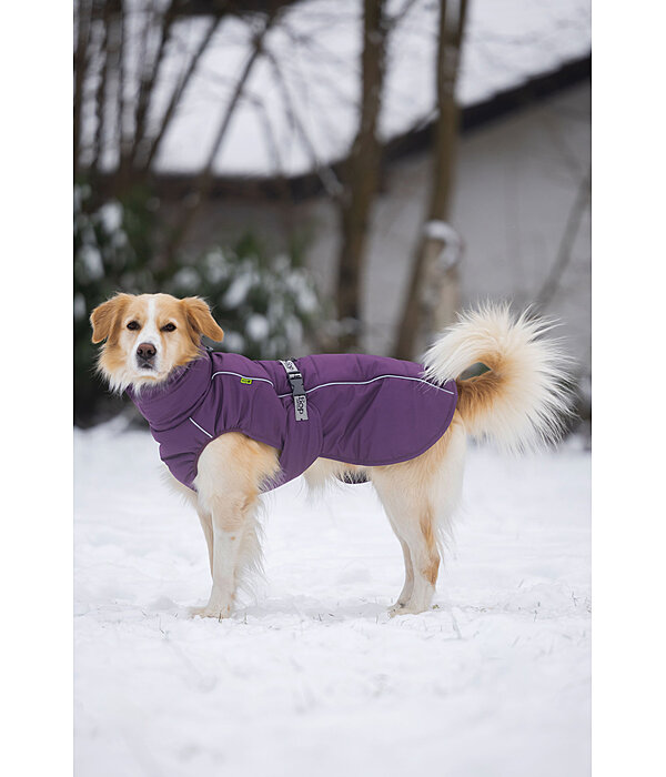 Winter-hondenmantel Marlon, 200-300 g