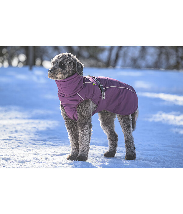 Winter-hondenmantel Marlon, 200-300 g