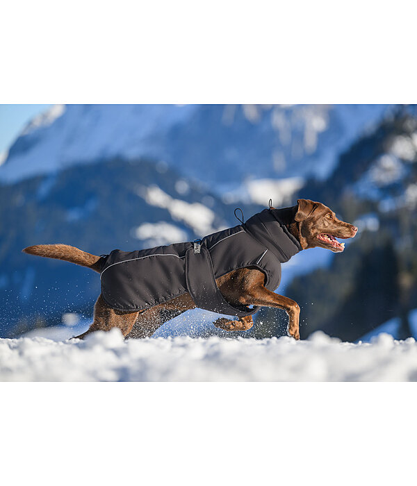 Winter-hondenmantel Marlon, 200-300 g