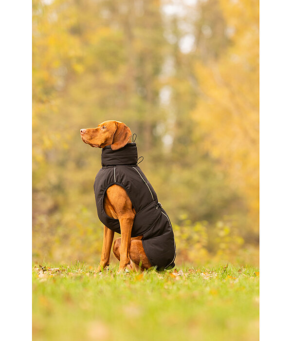 Winter-hondenmantel Marlon, 200-300 g