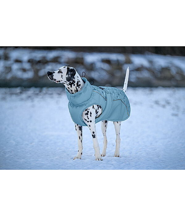 winter-hondenmantel Wonderland, 140 g