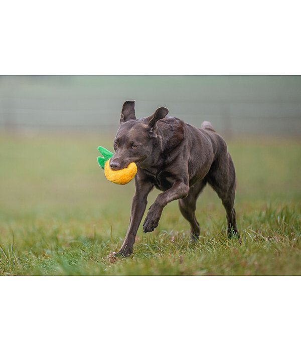 Sugar dog hondenspeeltje Pineapple