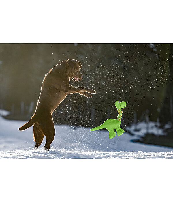Sugar dog hondenspeeltje Strong Dino