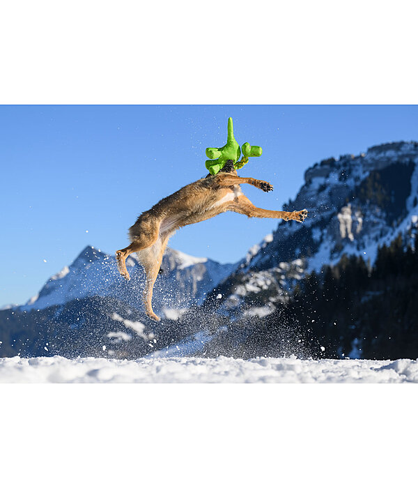 Sugar dog hondenspeeltje Strong Dino