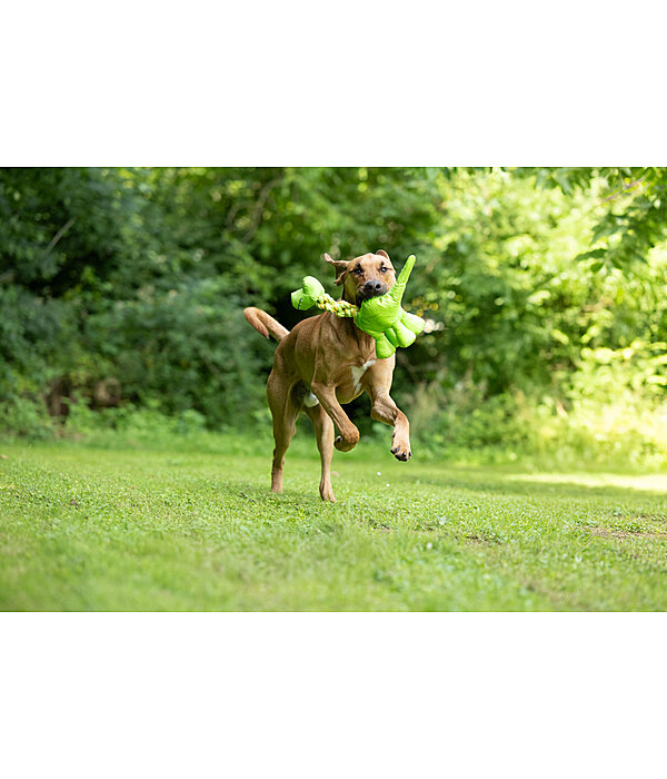 hondenspeeltje Strong Dino