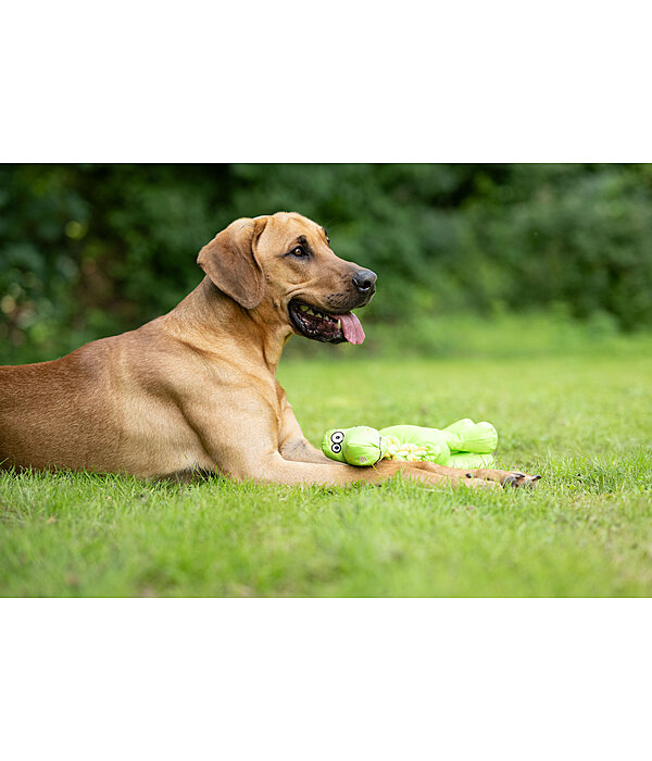 hondenspeeltje Strong Dino