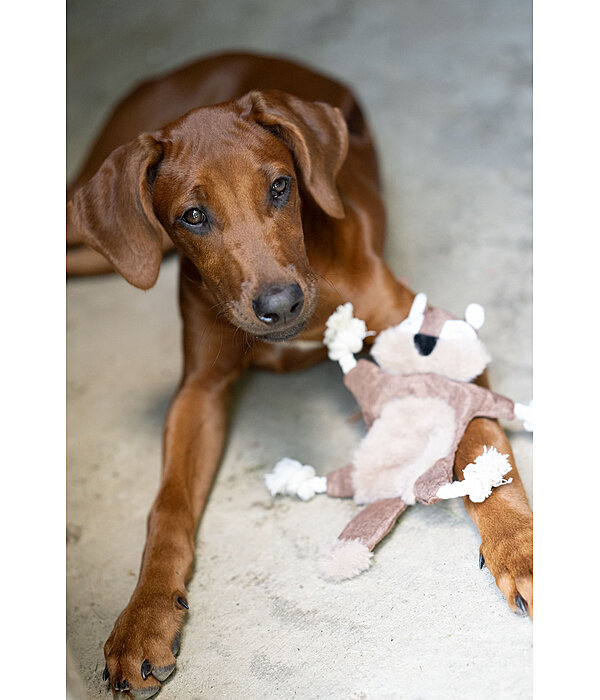 hondenspeelgoed eekhoorn