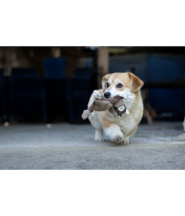 hondenspeelgoed eekhoorn