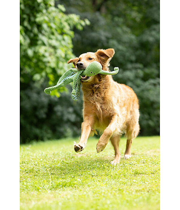 hondenspeeltje Octopus