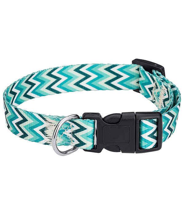 halsband en riem set zap
