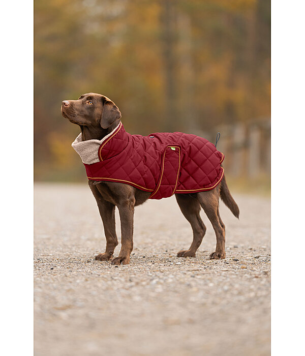 gewatteerde hondenmantel met teddyfleece voering Holly