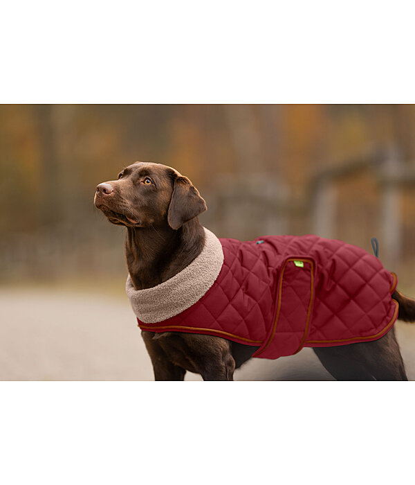 gewatteerde hondenmantel met teddyfleece voering Holly