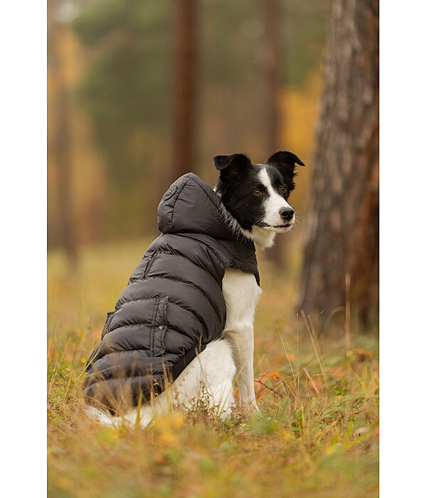 lightweight hondenwinterjas Anton