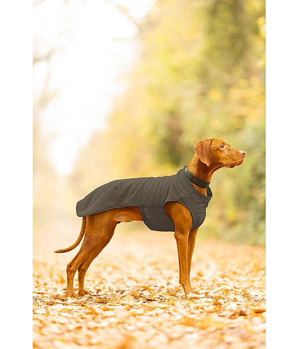 honden ondertrek- en fleecetrui Basic
