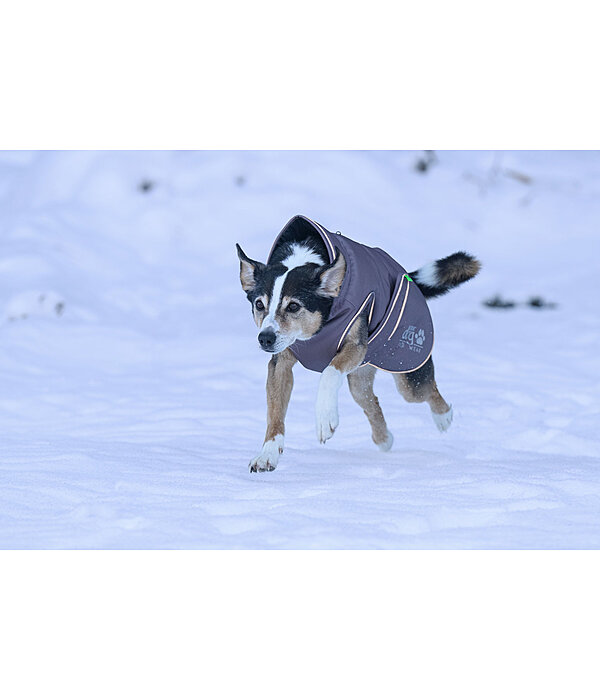 winterhondenmantel Archie Snow Drift, 200 g