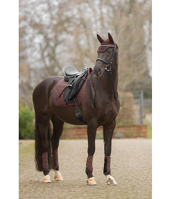 teddy peesbeschermers voorbenen
