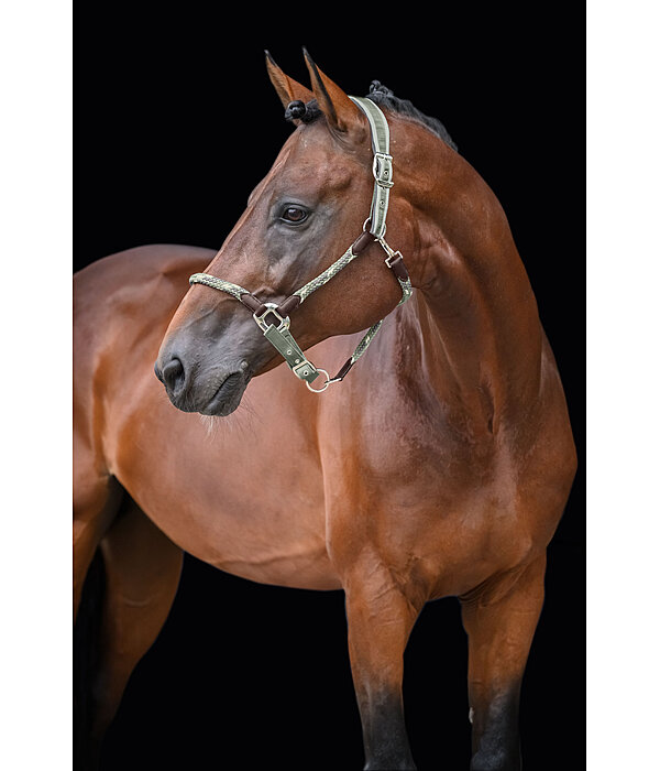 anatomisch halster Sophistication