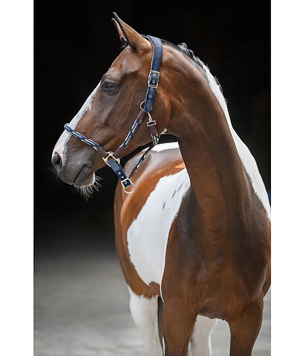 anatomisch halster Sophistication