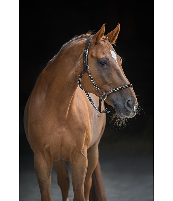 anatomisch halster Sophistication