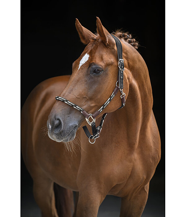 anatomisch halster Sophistication