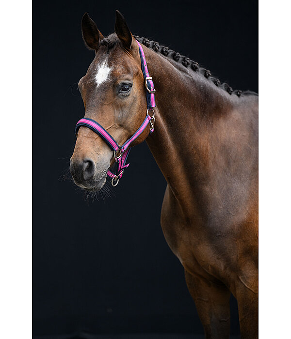 halster Swiss Design II