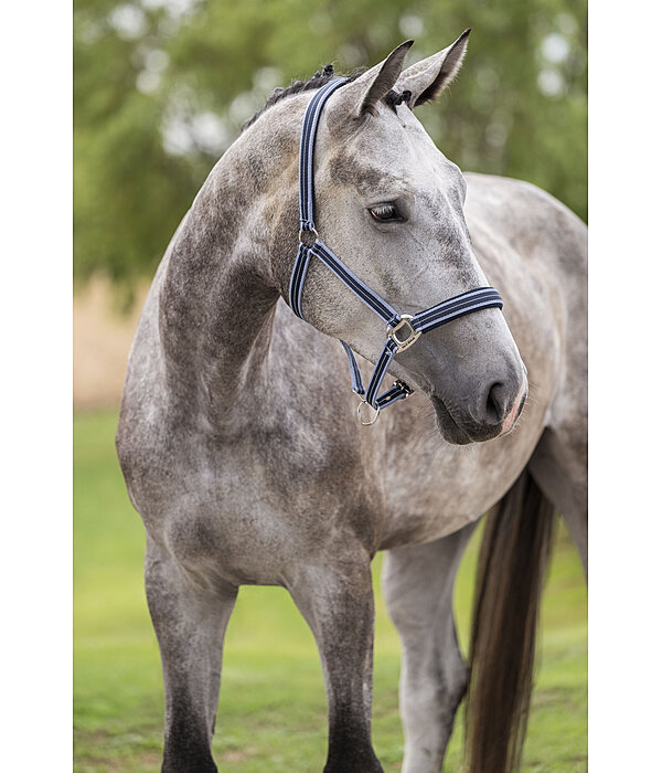 halster Swiss Design II