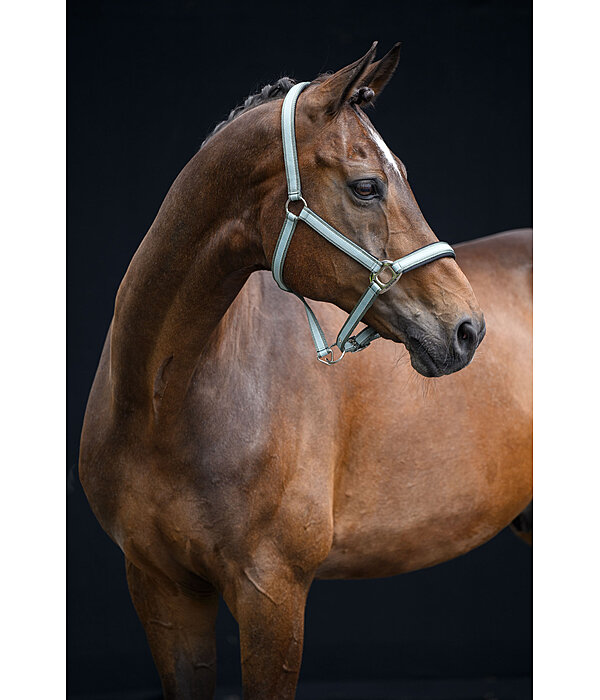 halster Essential II