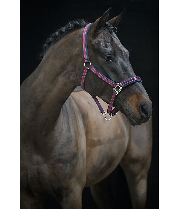 halster Essential II