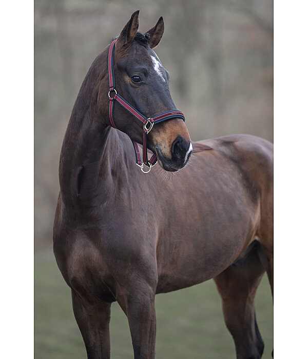 halster Essential II